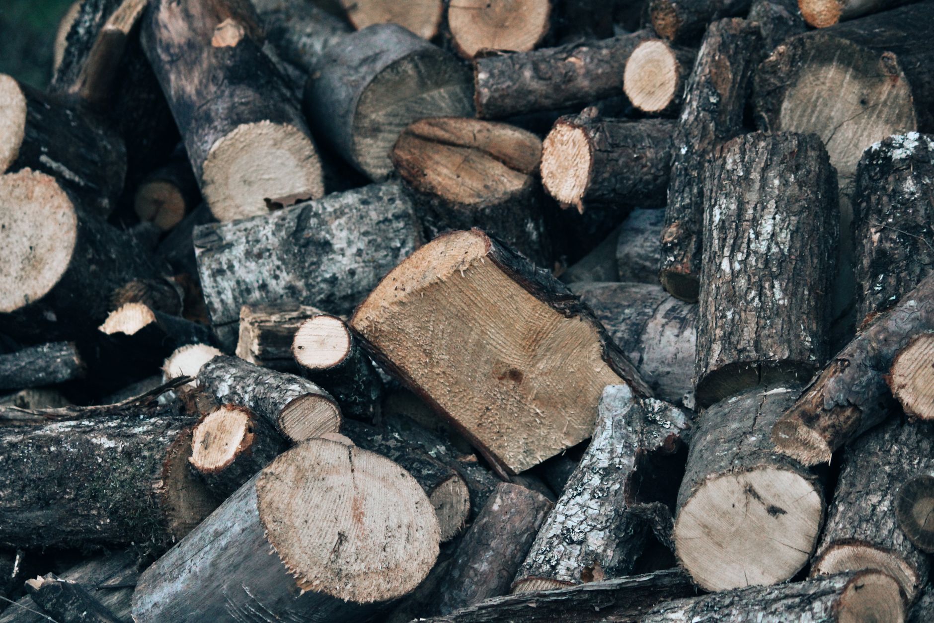 Bois de chauffage coupe en 30 cm