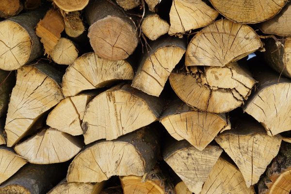 Pourquoi ton bois noircit-il mais ne brûle-t-il pas ?