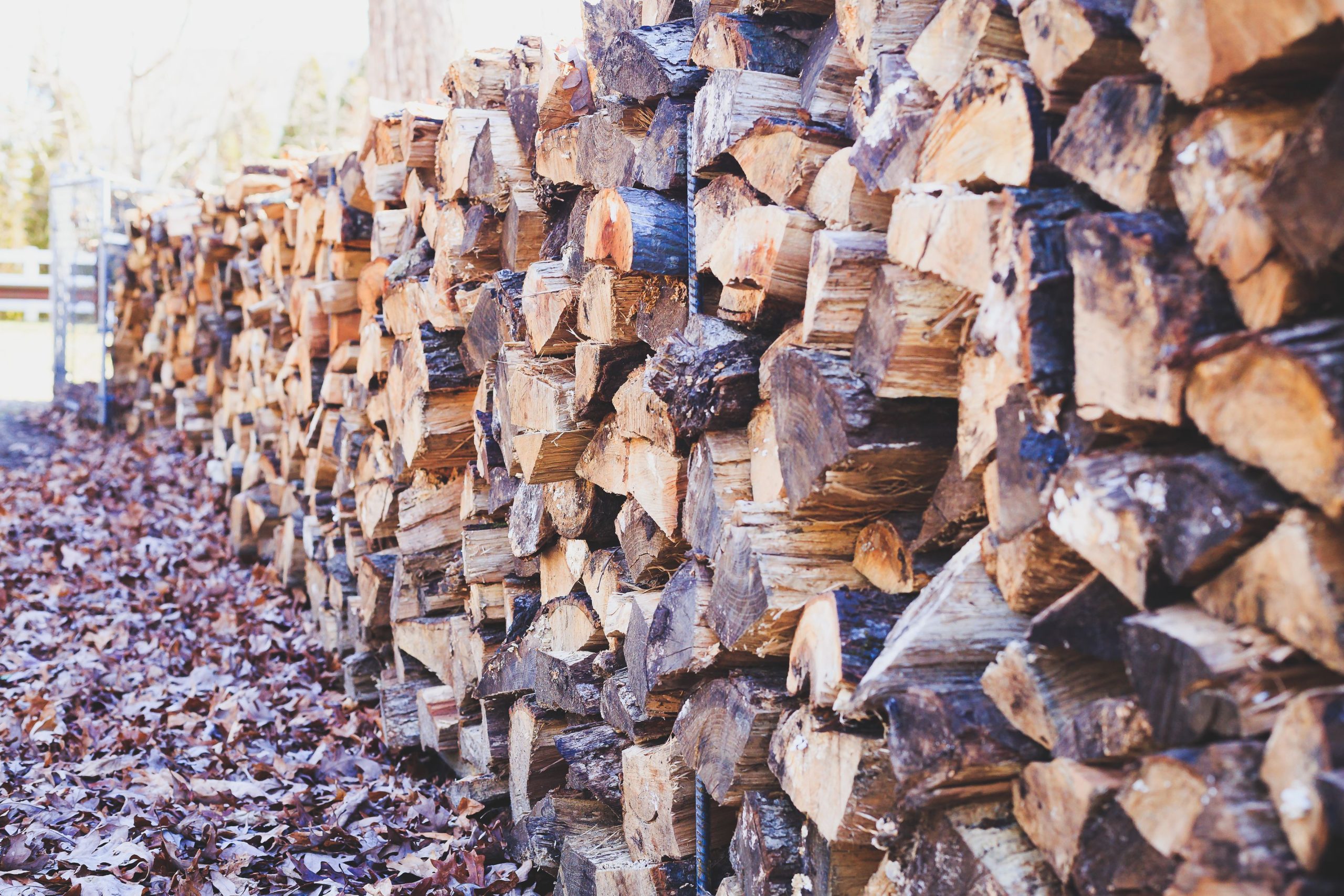 Bûches de bois empilées pour l'hiver