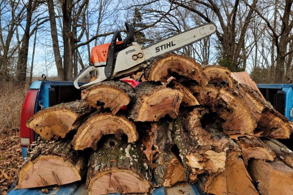 Quel est le prix d&rsquo;un stère de bois en 50 cm ?