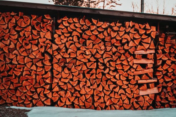 Bois de chauffage 45 cm : pour quels foyers