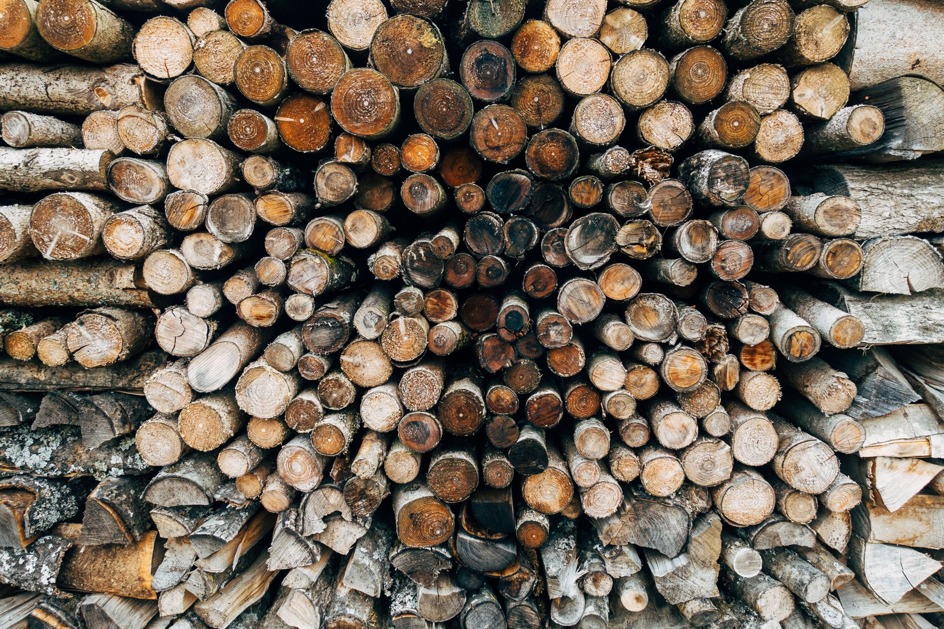Granules de bois dans une main
