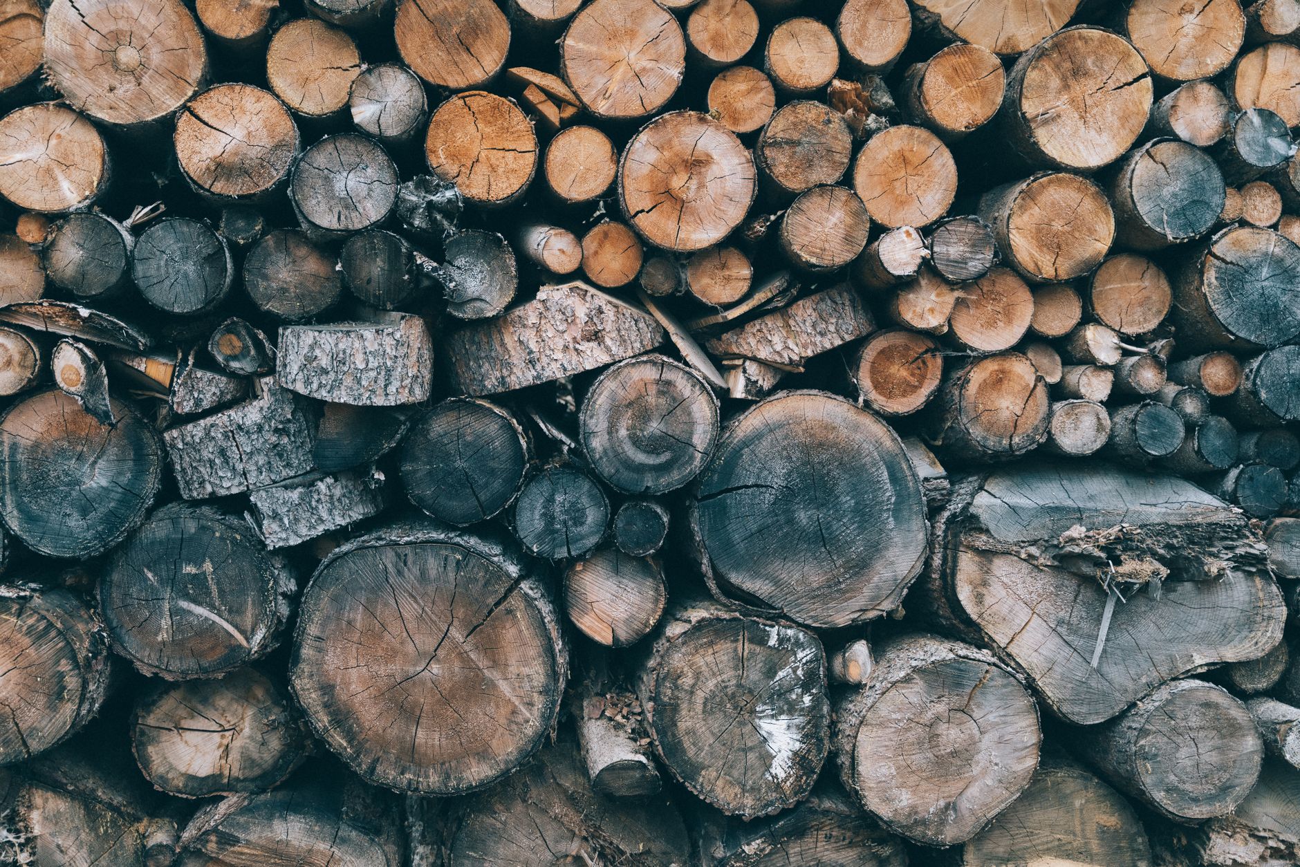Granules de bois et pelle doseuse