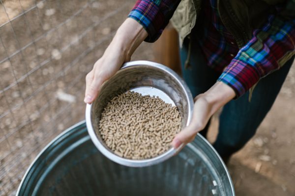 Granulés DINplus : ce que garantit la certification