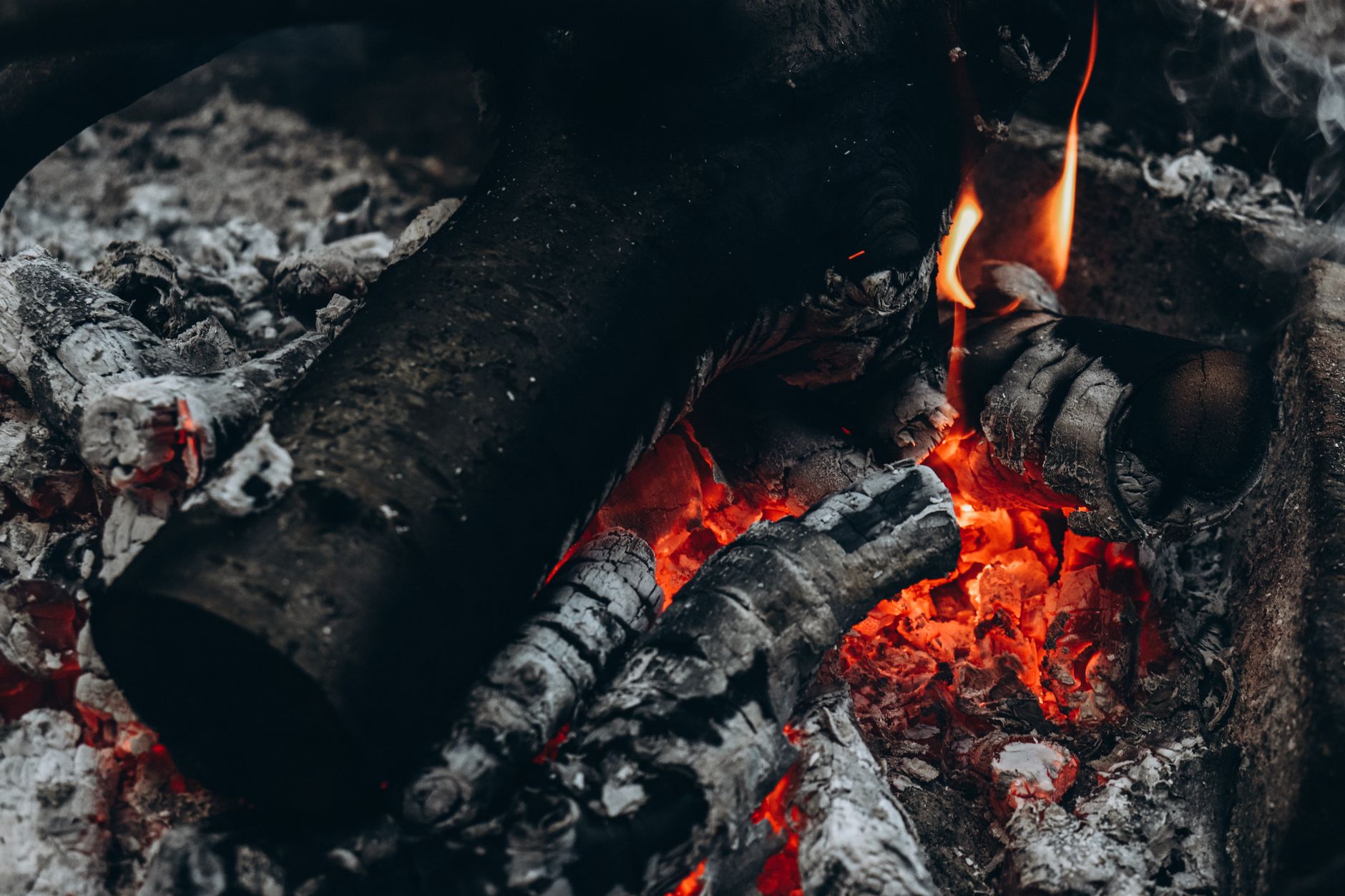 Bûche de bois qui brûle en gros plan