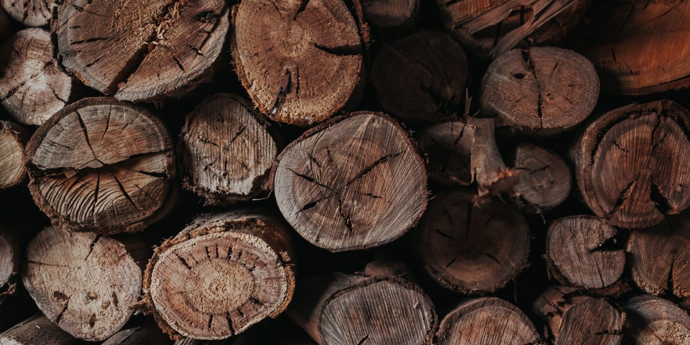 Mérule sur bois de chauffage : faut-il s&rsquo;inquiéter ?