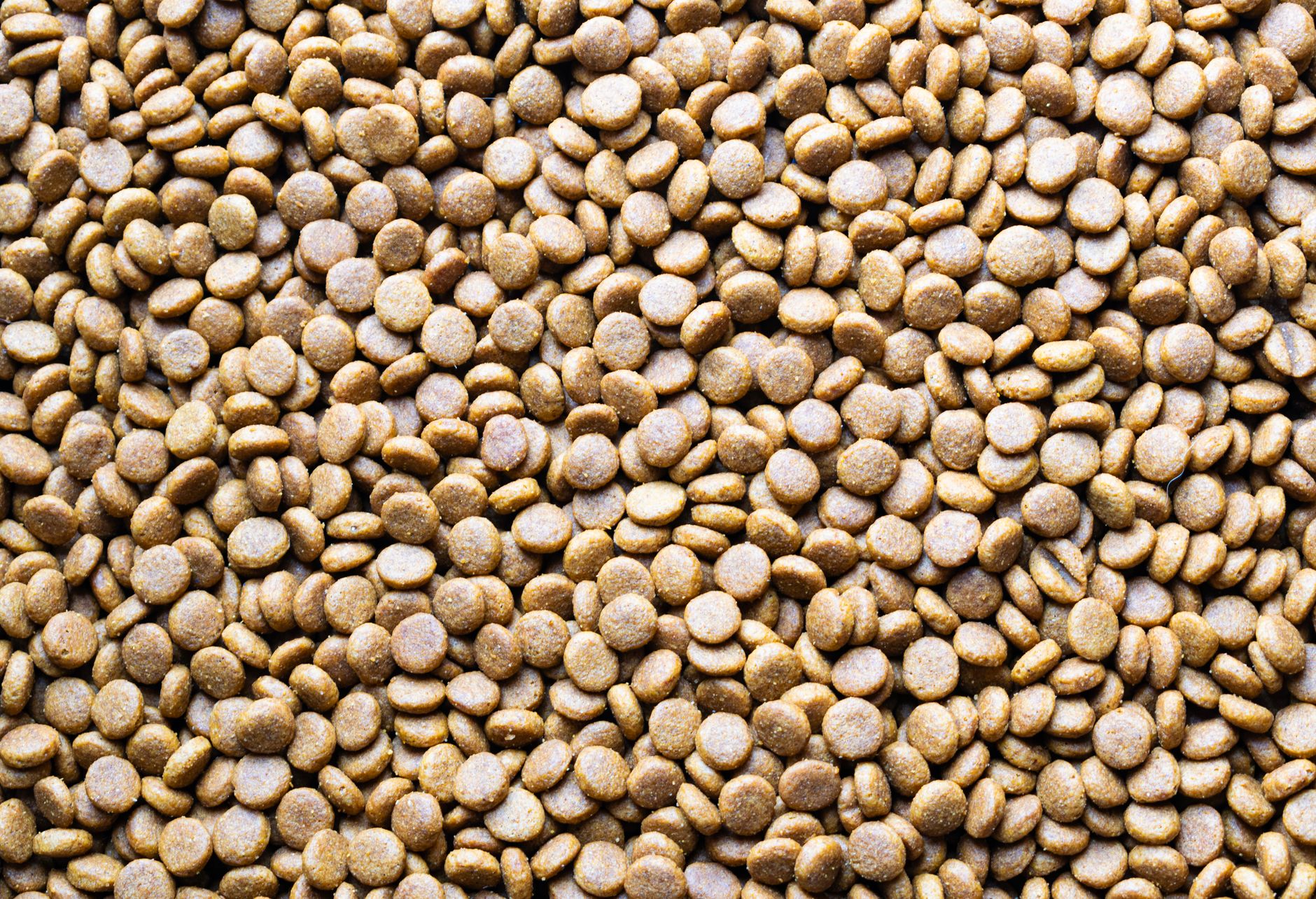 Sacs de pellets sur une palette