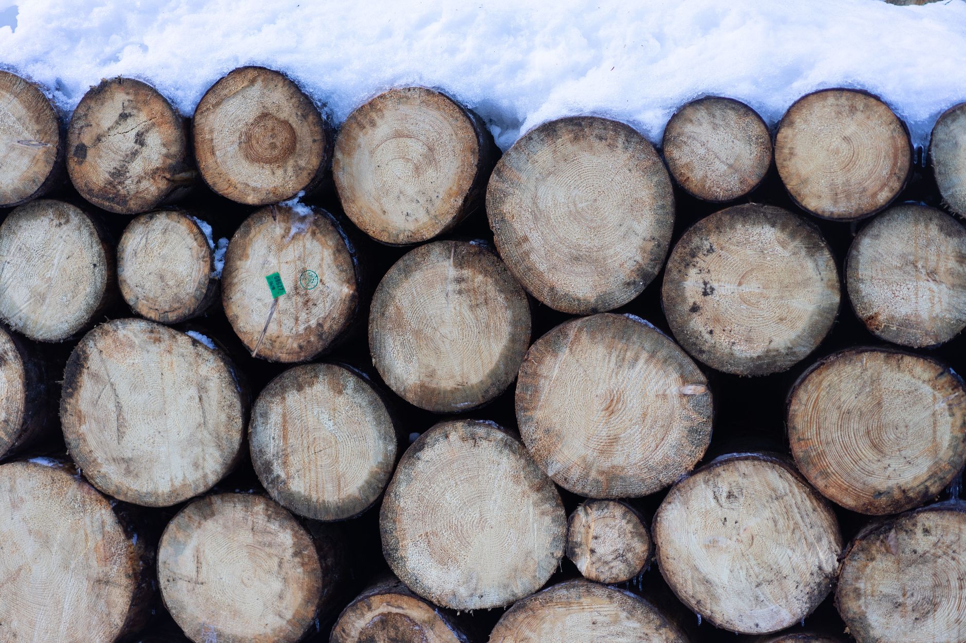Stère de bois empilé sous la neige en hiver