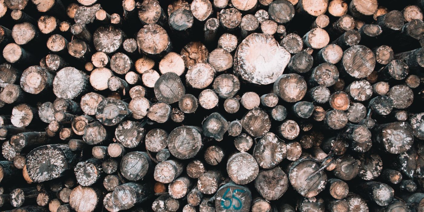 Combien pèse vraiment un stère de bois ?
