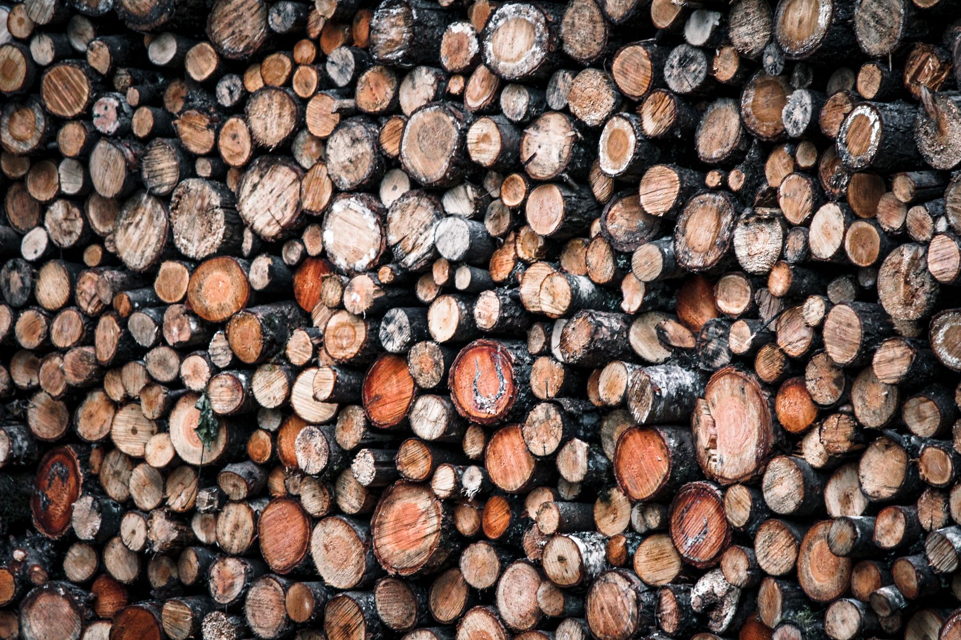 Tas de bois de chauffage en exterieur