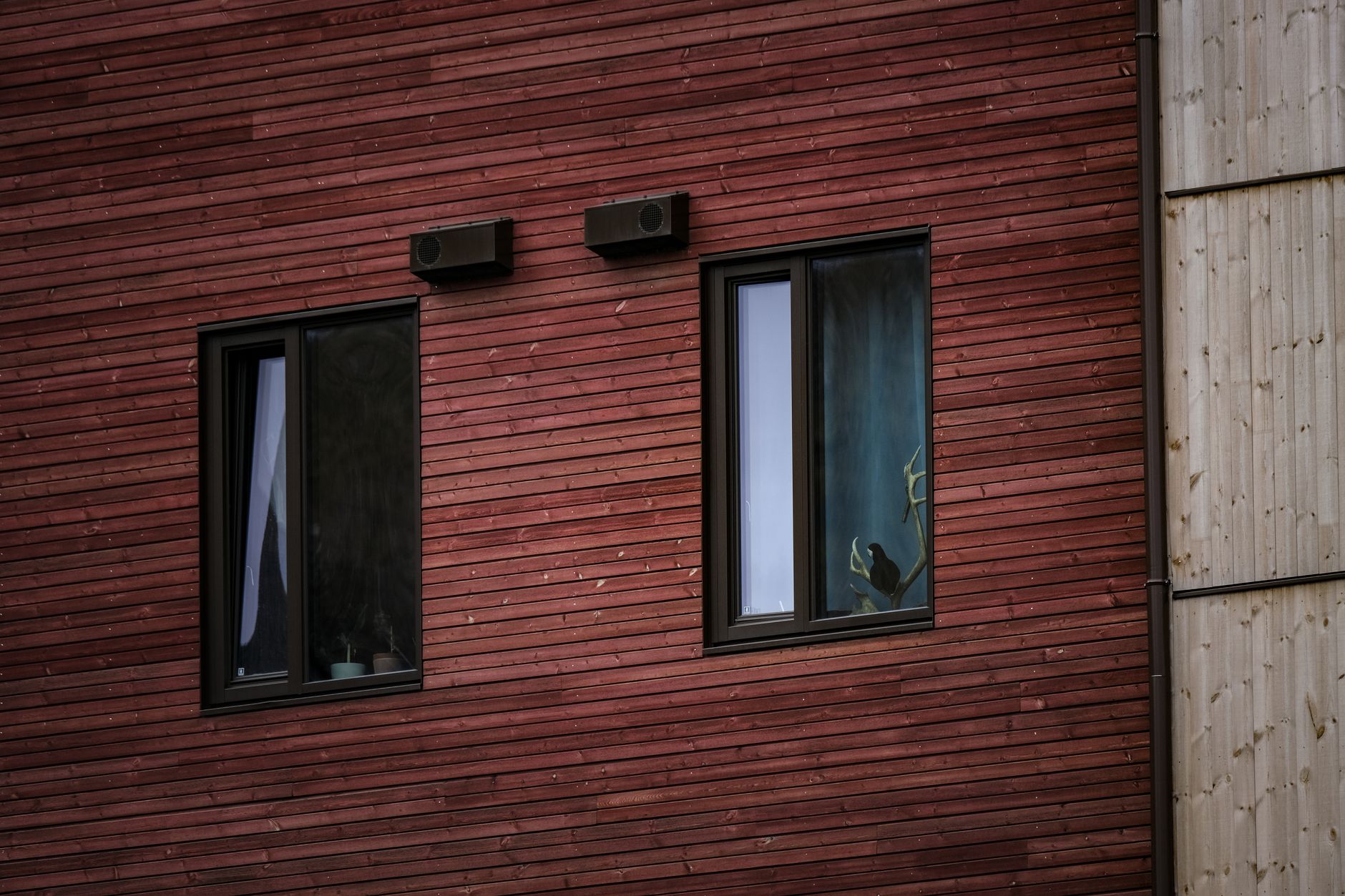 Façade en bois avec deux fenêtres à cadre noir