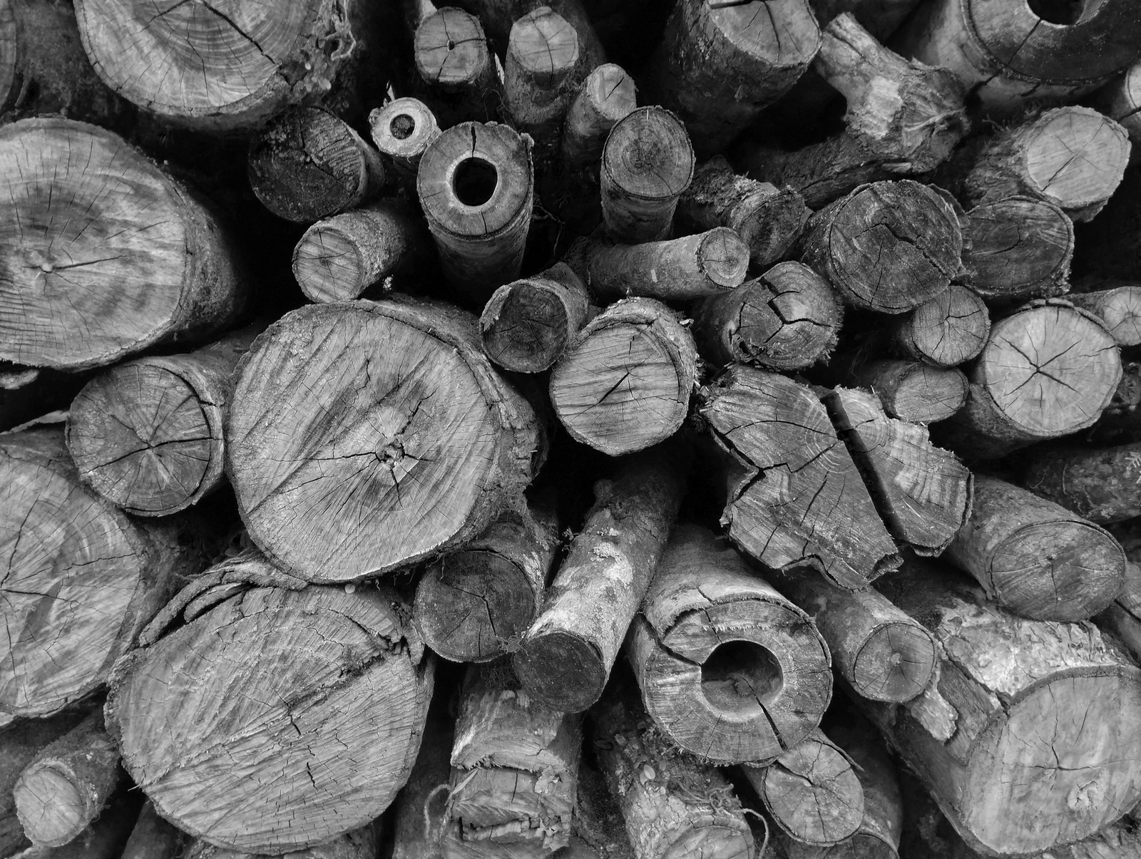 Pile de rondins de bois en noir et blanc